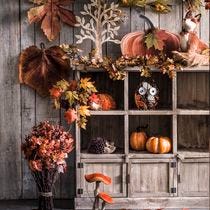 Décor thème Sous-bois