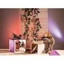 Decoratie Wijnmaand