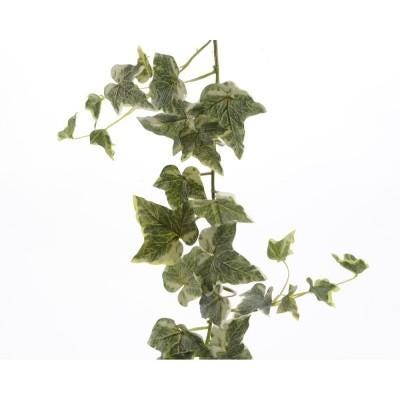 Bloemen en planten