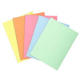 Binnenmap kleurenassortiment 60g 22x31cm - per 100 Binnenmap kleurenassortiment 60g 22x31cm - per 100