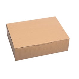 Verzenddoos enkel golfkarton bruin 31x21,5x7cm - per 20 Verzenddoos enkel golfkarton bruin 31x21,5x7cm - per 20