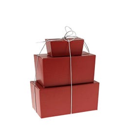 Ballotin mini rode binnenkant goud 250g - per 50 Ballotin mini rode binnenkant goud 250g - per 50
