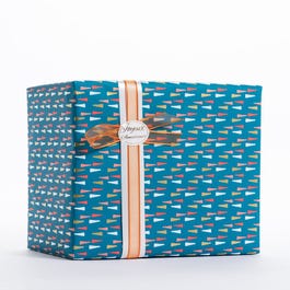 Cadeaupapier veelkeurige punten 70cm x 100m Cadeaupapier veelkeurige punten 70cm x 100m